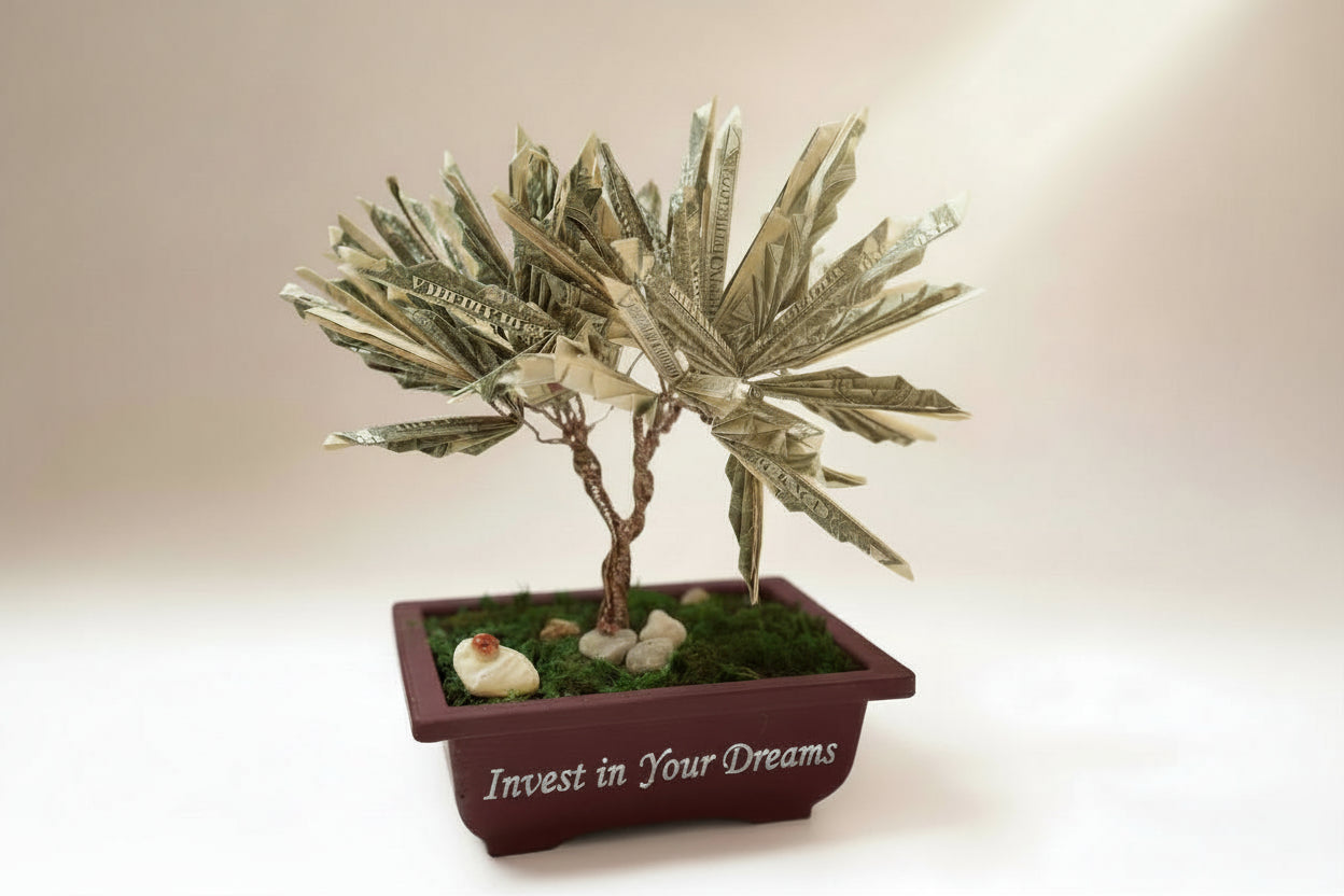 Money tree with a graduation theme in a pot on a plain background