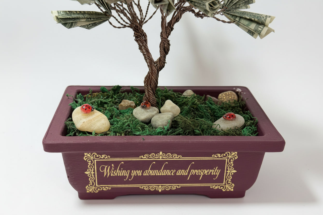 Bonsai Style Money Tree – Real Money
