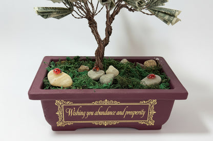 Bonsai Style Money Tree – Real Money