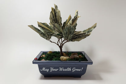 Potted plant made of dollar bills with a small box containing more dollar bills on a white surface.