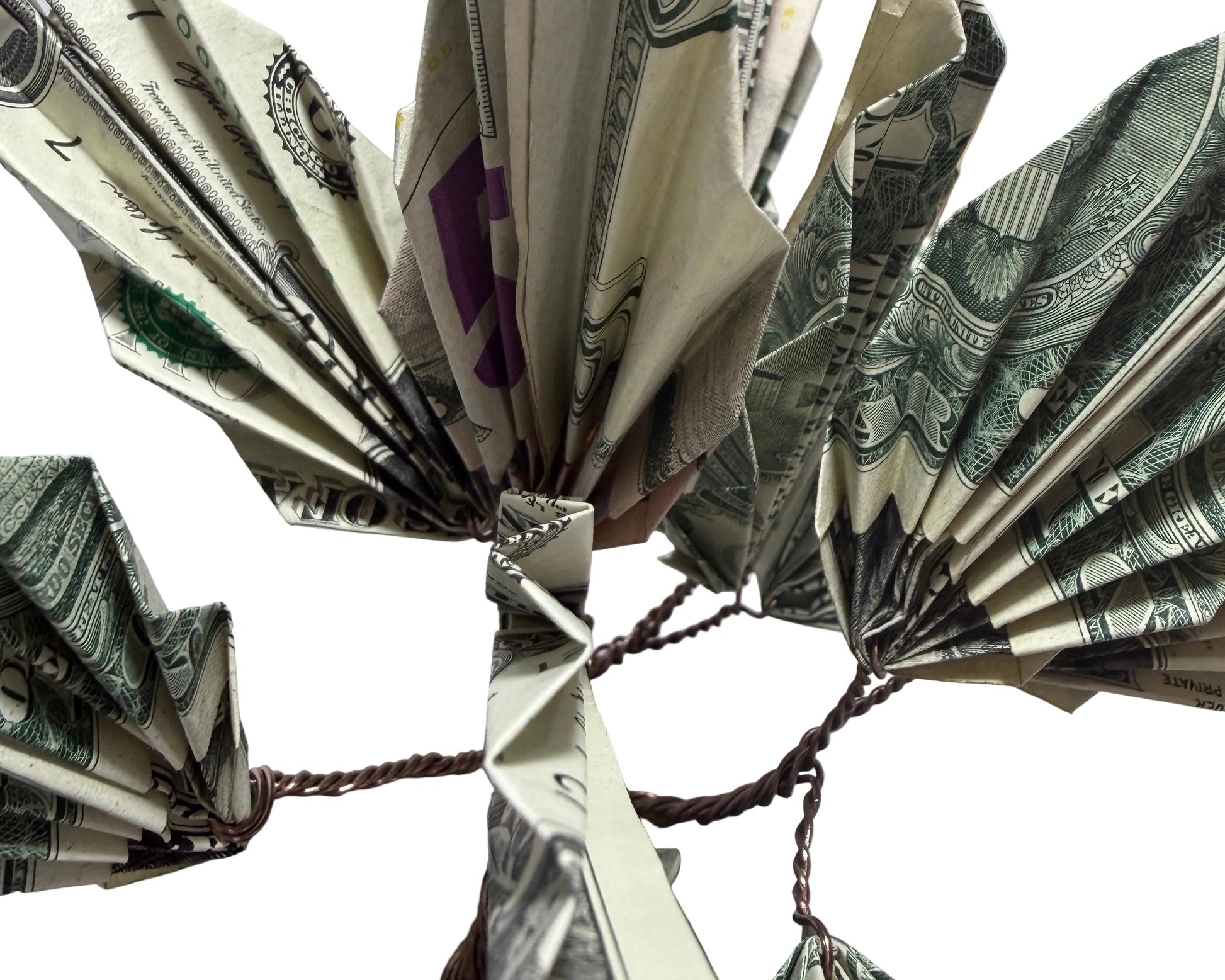Fanned-out dollar bills arranged in a circular pattern on a white surface.