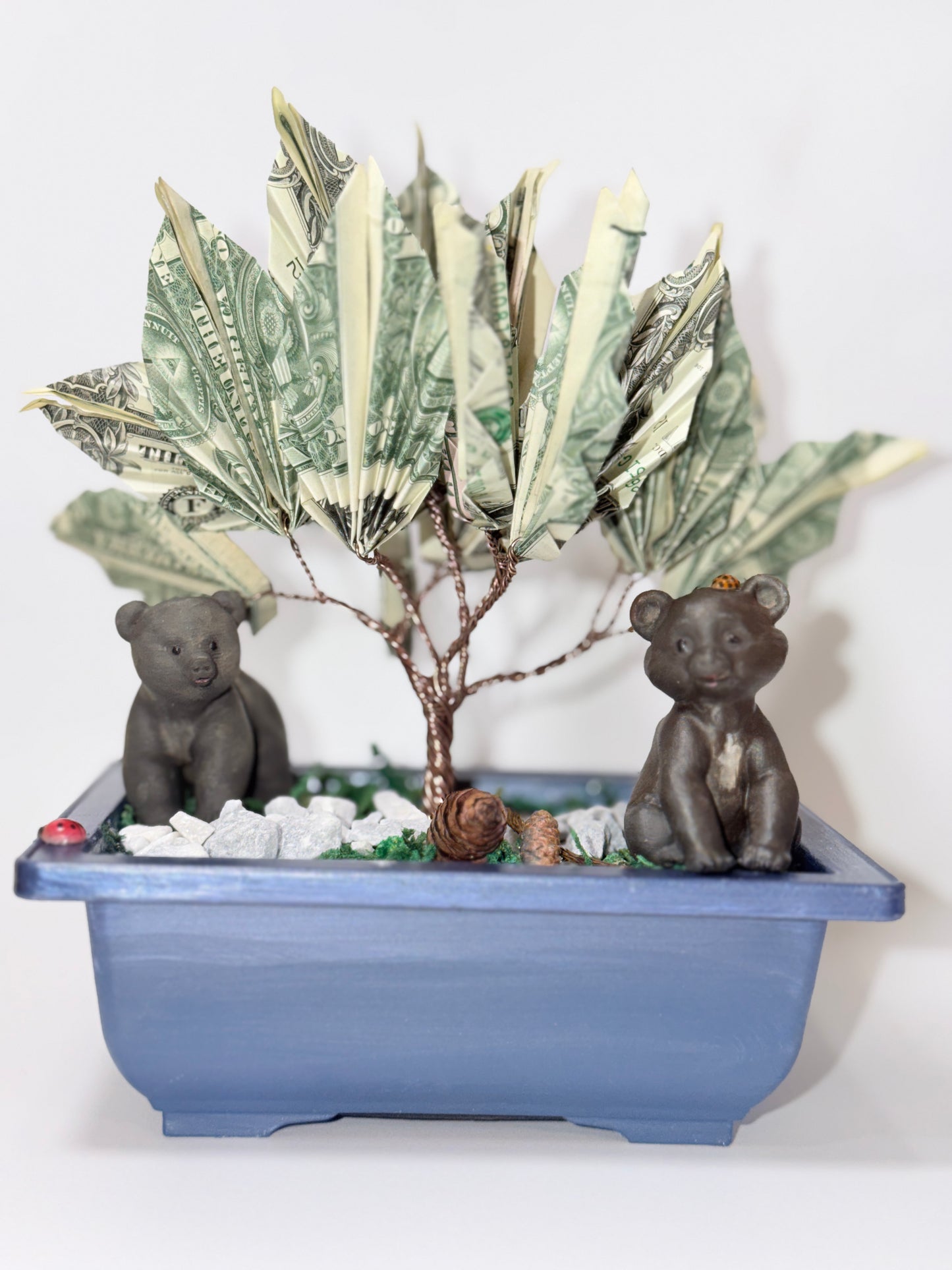 Bonsai Style Money Tree – Real Money