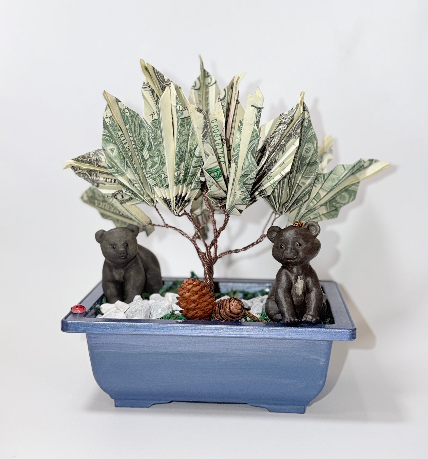 Bonsai Style Money Tree – Real Money