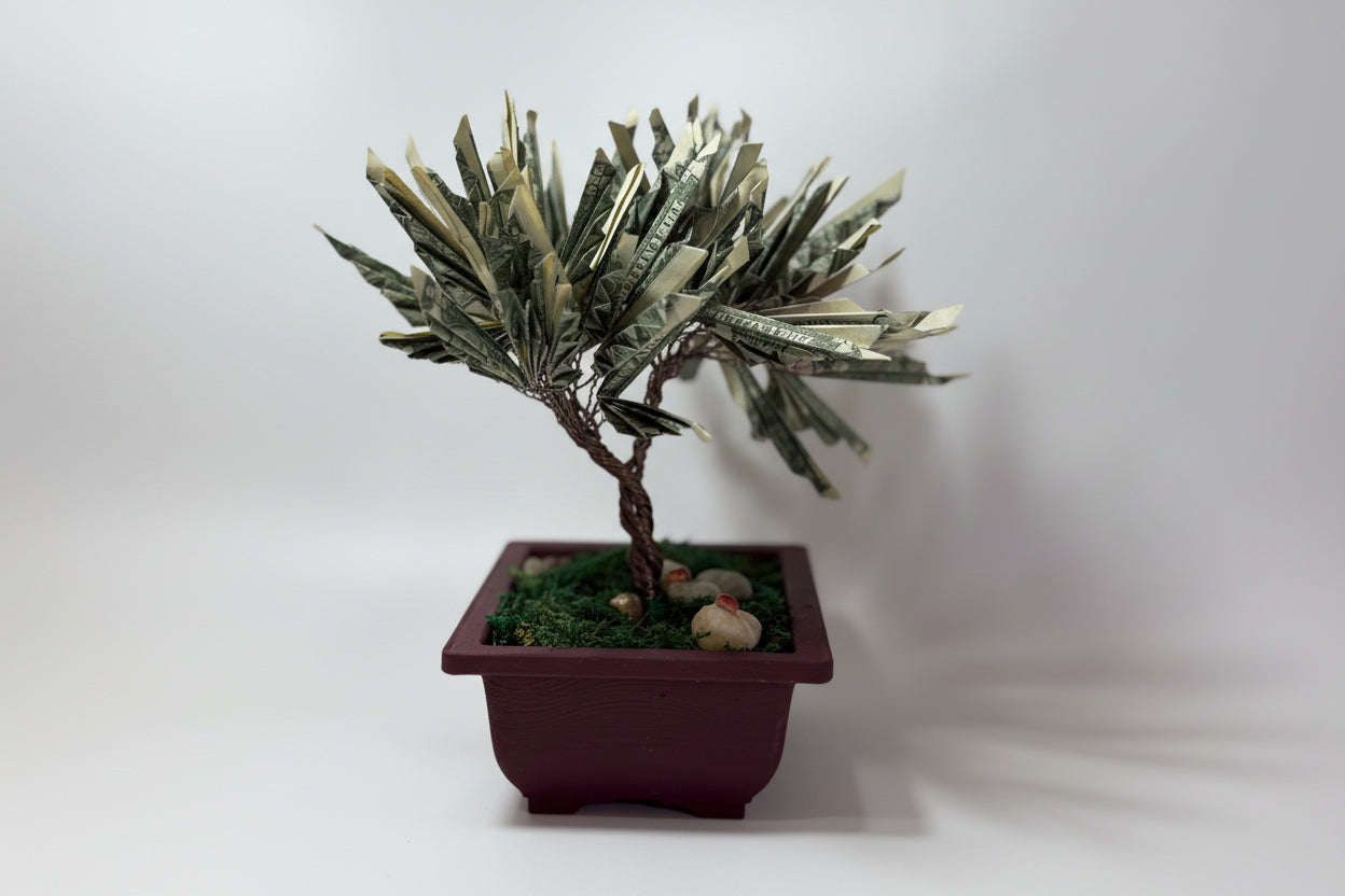 Bonsai tree made of dollar bills in a pot on a white background