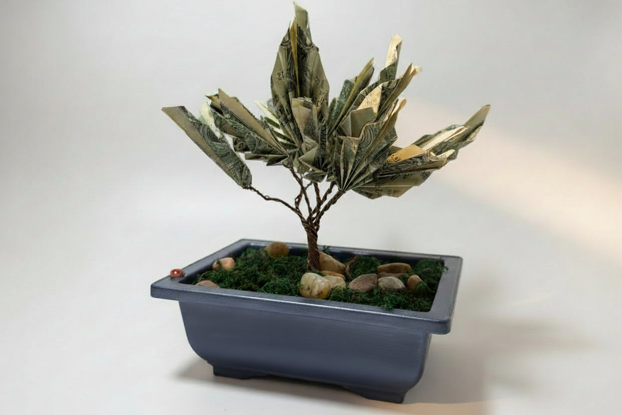 Potted plant with money bills as leaves on a white surface