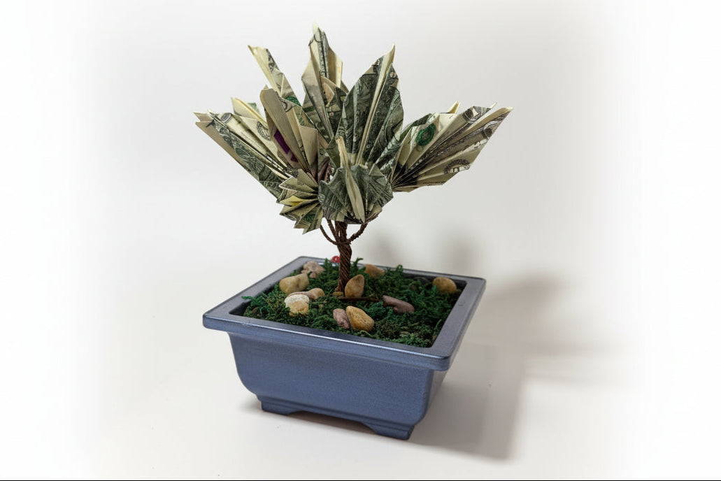 Money plant made from dollar bills in a small pot on a white surface