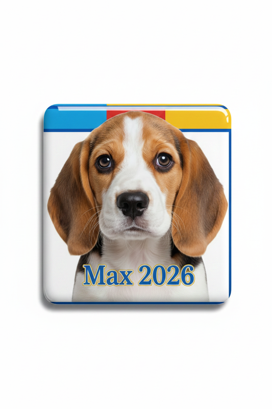 Personalized Beagle Fridge Magnet 2x3 - Max 2026